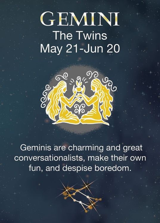 signs 4 fun Gemini Zodiac Magnet