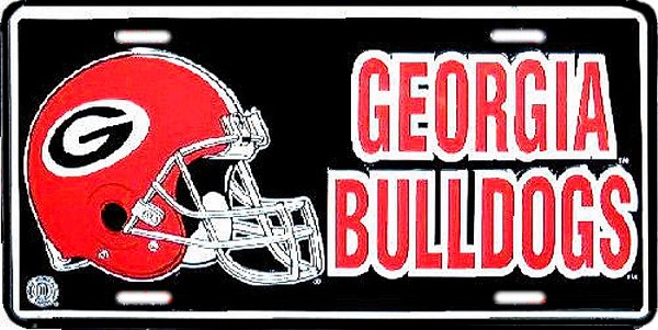 signs 4 fun Georgia License Plate