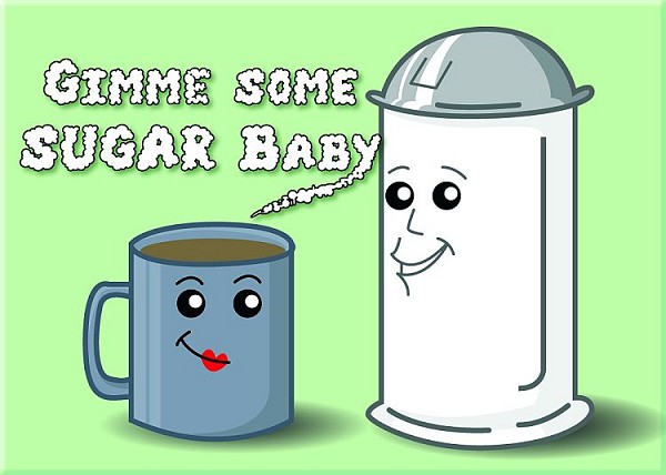 signs 4 fun Gimme Sugar Magnet