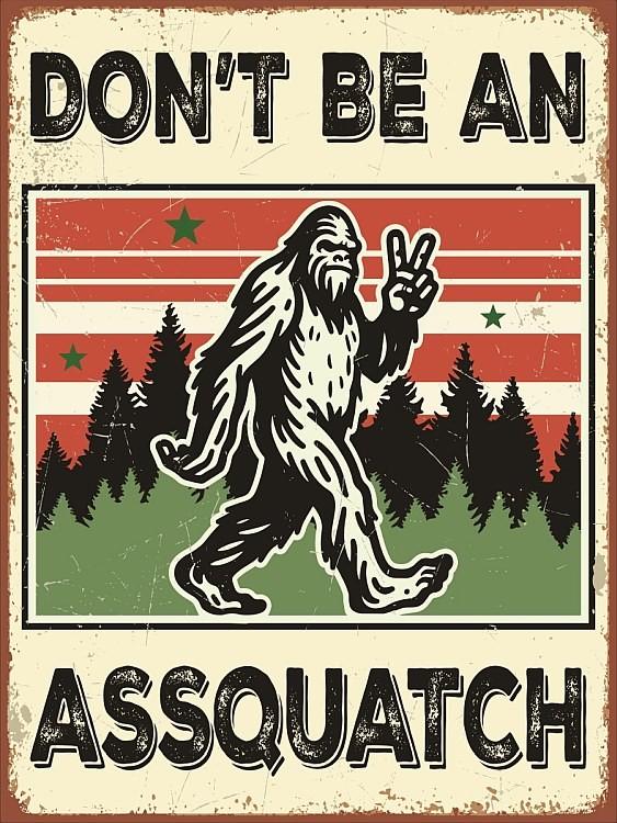 signs 4 fun Go Outside Sasquatch Kills You Magnet