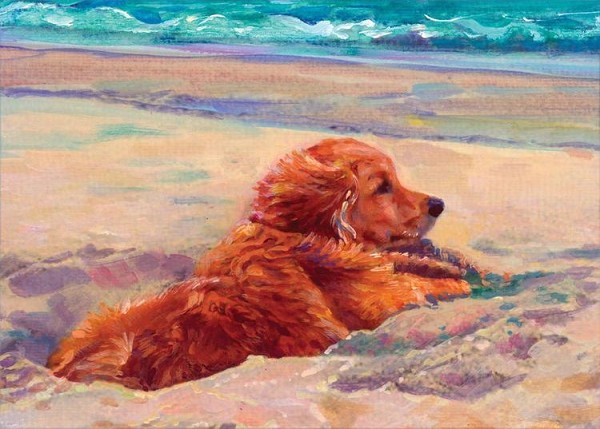 signs 4 fun Golden Retriever Beach Magnet
