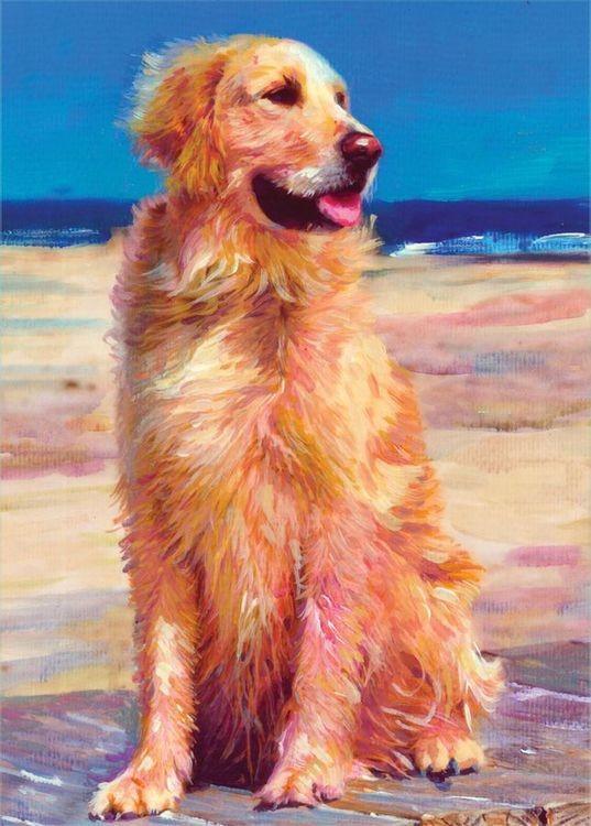 signs 4 fun Golden Retriever Boardwalk Magnet