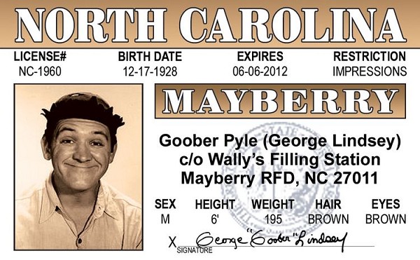 signs 4 fun Goober ID Magnet