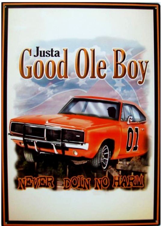 signs 4 fun Good Ole Boy Metal Sign