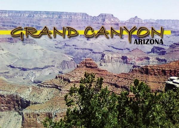 signs 4 fun Grand Canyon Magnet