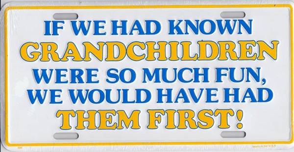 signs 4 fun Grandchildren License Plate