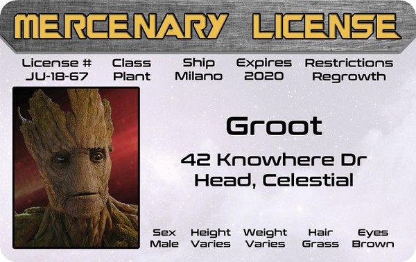 signs 4 fun Groot ID