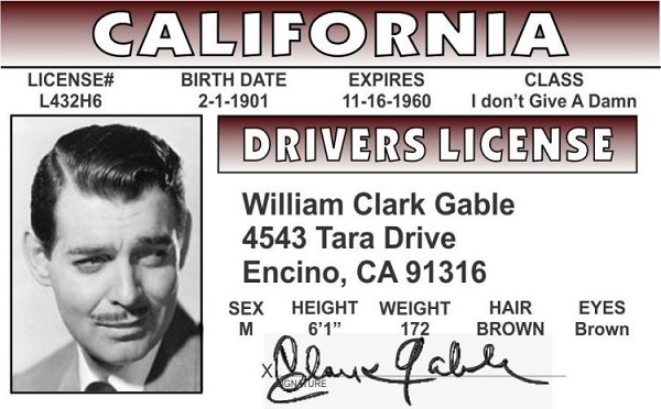 signs 4 fun GWTW - Clark Gable ID