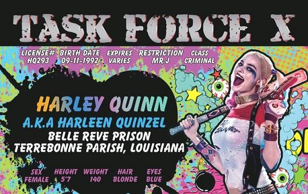 signs 4 fun Harley Quinn ID