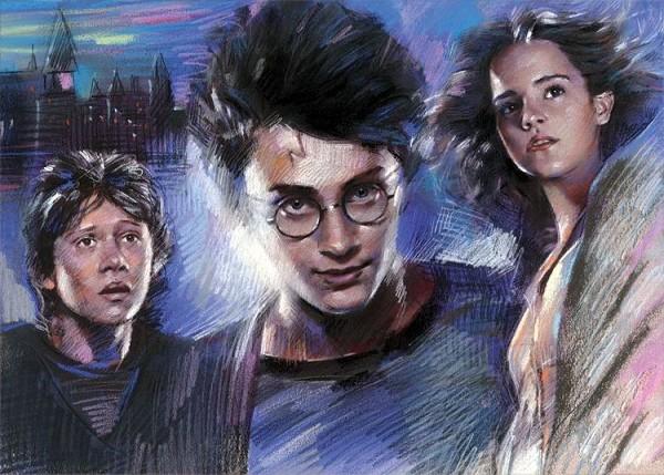 signs 4 fun Harry Potter Kids Magnet