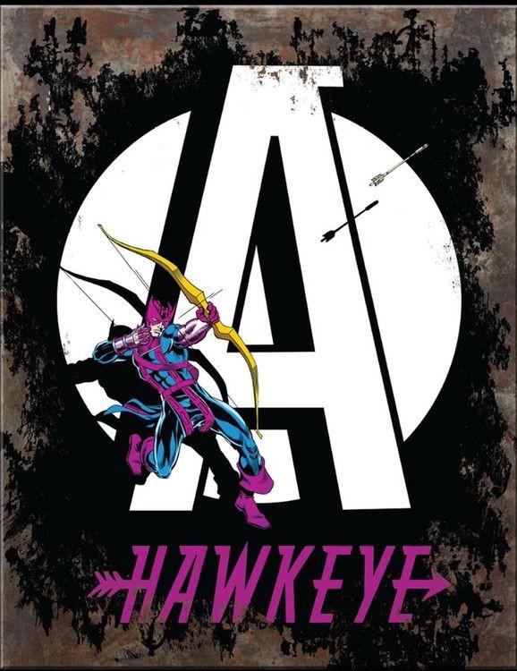 signs 4 fun Hawkeye A Metal Sign