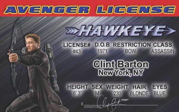 signs 4 fun Hawkeye ID