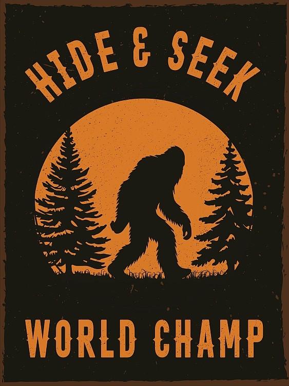 signs 4 fun Hide & Seek World Champ Metal Sign