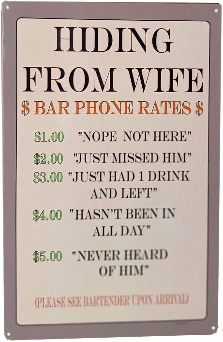 signs 4 fun Hiding from Wife Metal Sign