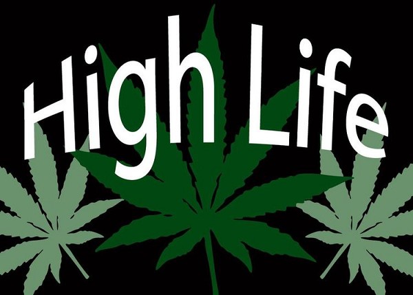 signs 4 fun High Life Magnet