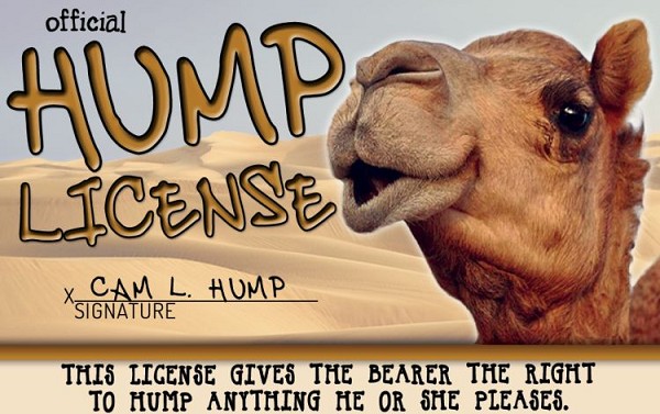 signs 4 fun Hump License