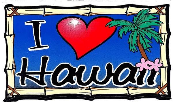 signs 4 fun I Heart Hawaii Sticker