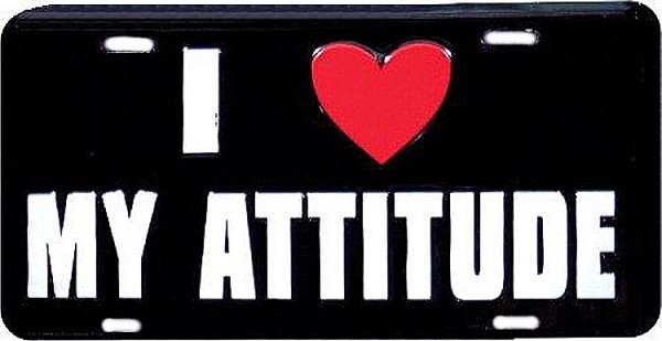signs 4 fun I Love My Attitude License Plate