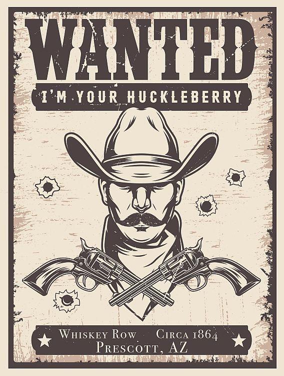 signs 4 fun I'm your huckleberry Small Sign