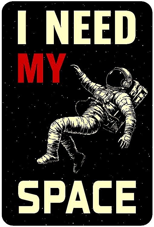 signs 4 fun I Need My Space V Small Sign