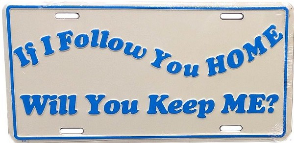 signs 4 fun If I Follow You Home License Plate