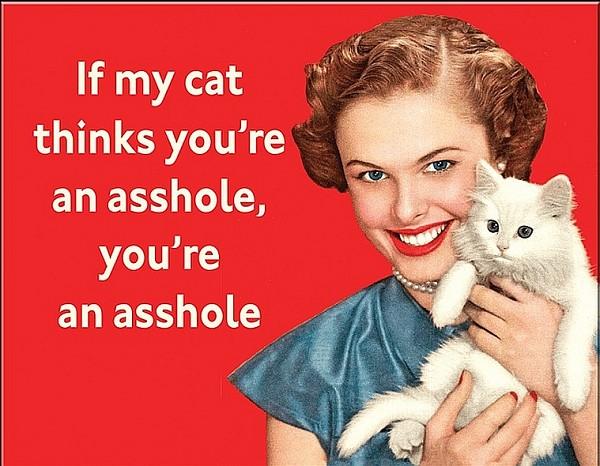 signs 4 fun If My Cat Metal Sign