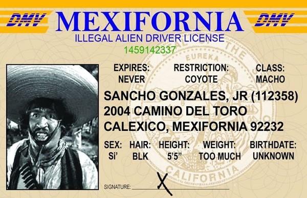 signs 4 fun Illegal Alien ID