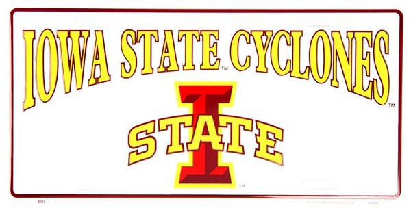 signs 4 fun Iowa State License Plate
