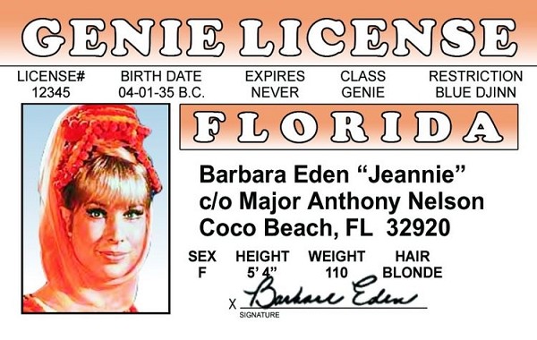 signs 4 fun Jeannie ID