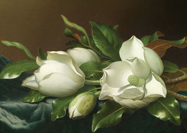 signs 4 fun Johnson-Heade - Magnolias Magnet