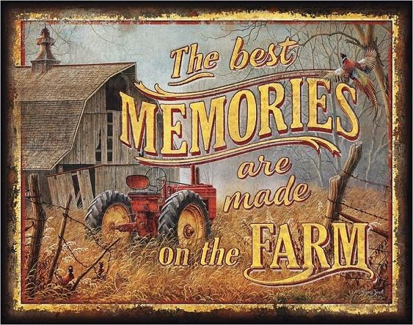 signs 4 fun JQ - Farm Memories Metal Sign