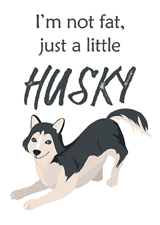 signs 4 fun Just Husky Magnet