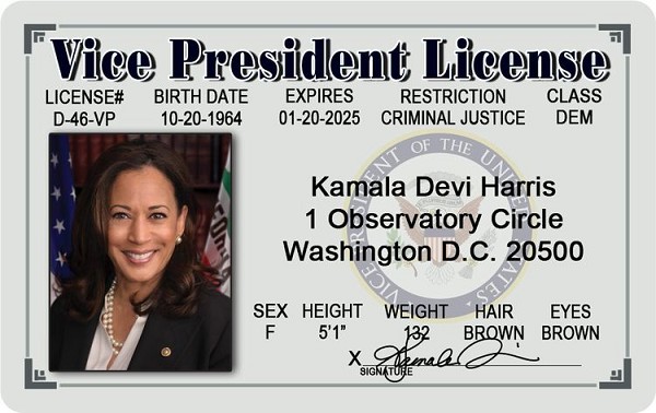 signs 4 fun Kamala Harris Vice President ID