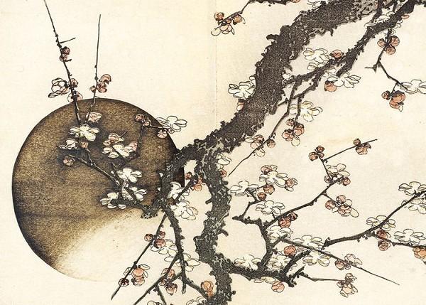 signs 4 fun Katsushika - Plum Blossom Magnet