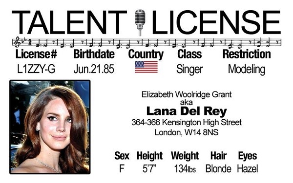 signs 4 fun Lana Del Rey Driver's License