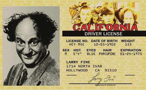 signs 4 fun Larry ID