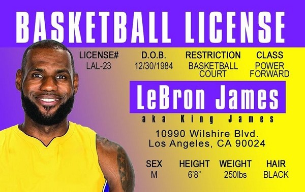 signs 4 fun Lebron James ID