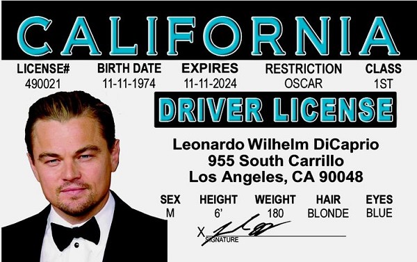 signs 4 fun Leo Decaprio ID