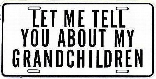 signs 4 fun Let Me Tell You License Plate