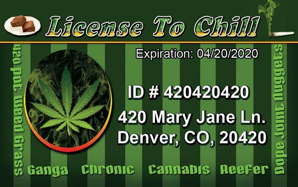 signs 4 fun License to Chill