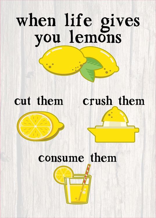 signs 4 fun Life Gives Lemons Magnet