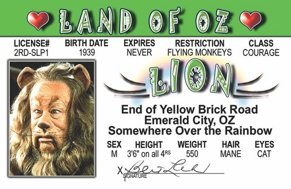 signs 4 fun Lion of Oz ID