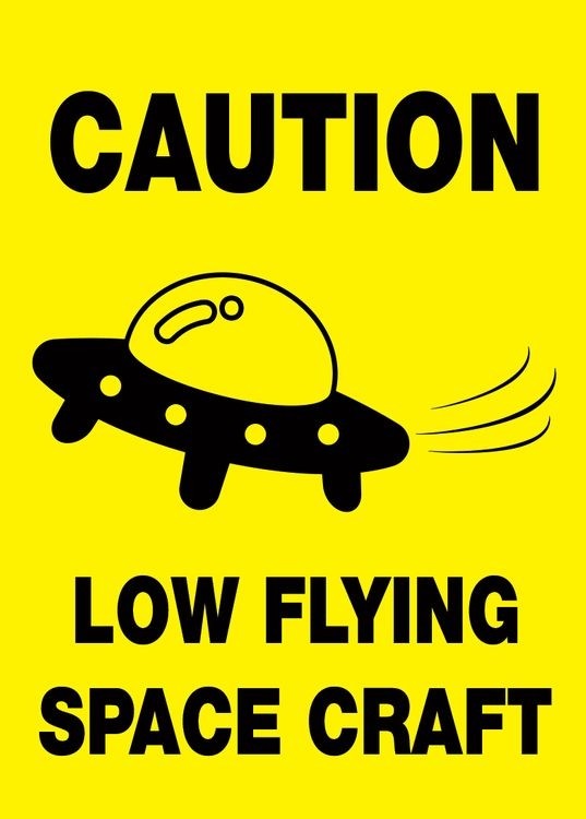 signs 4 fun Low Flying Magnet