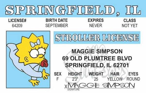 signs 4 fun Maggie ID