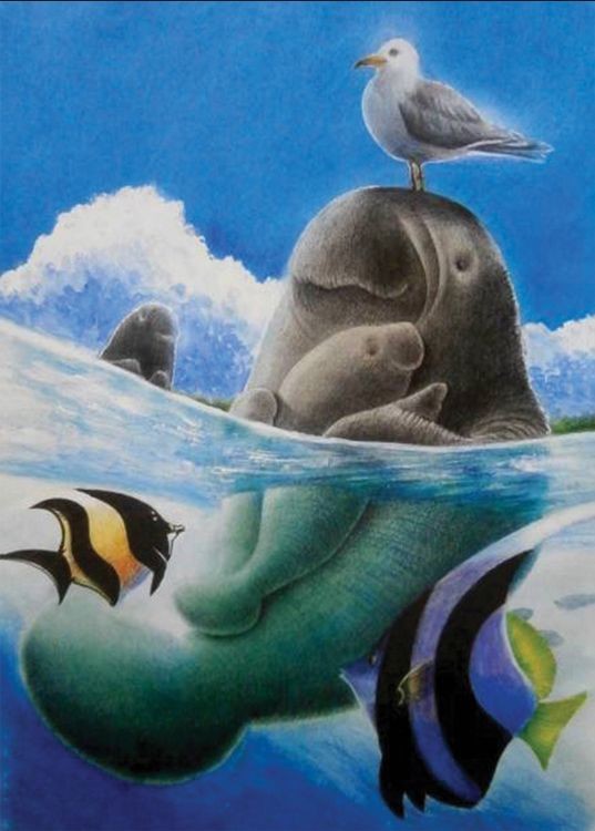 signs 4 fun Manatee with Bird Magnet