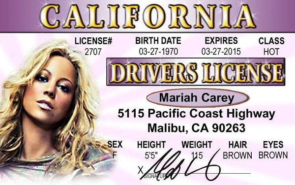 signs 4 fun Mariah C. ID