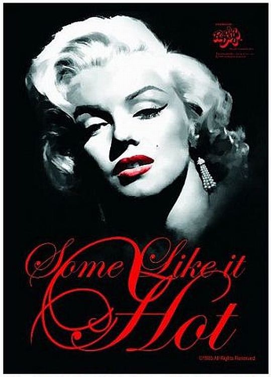 signs 4 fun Marilyn Some Like it Hot Magnet