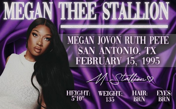signs 4 fun Megan Thee Stallion ID