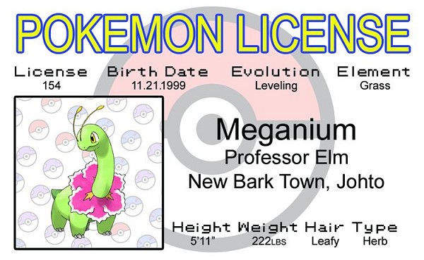 signs 4 fun Meganium ID
