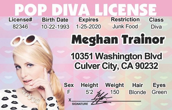 signs 4 fun Meghan Trainor ID